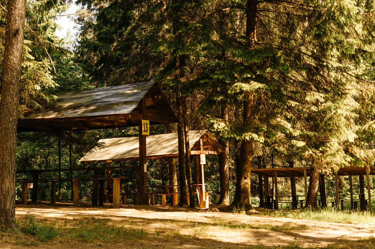 Открытый навес с мангалом для аренды в R-парке