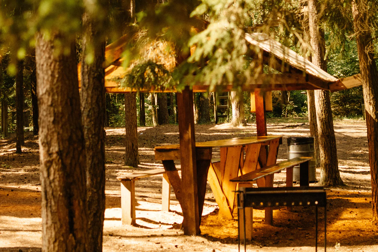 Открытый навес с мангалом для аренды в R-парке